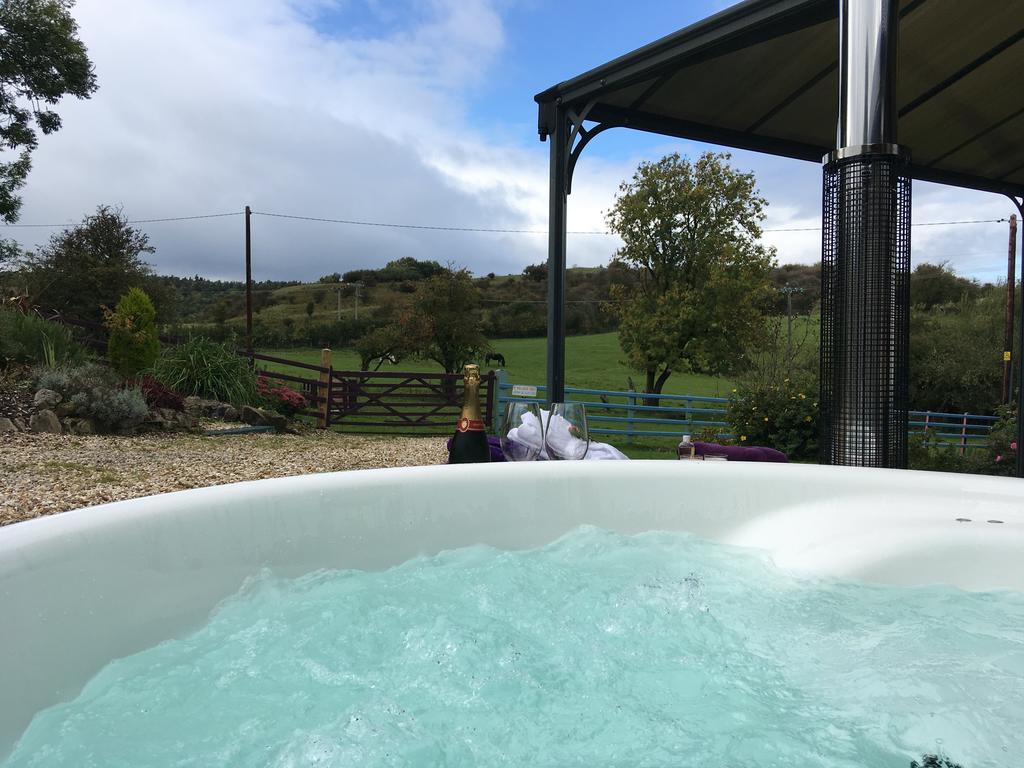 Glan Llyn Farm House room 1